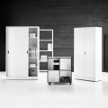 Choosing the Right Storage Solutions